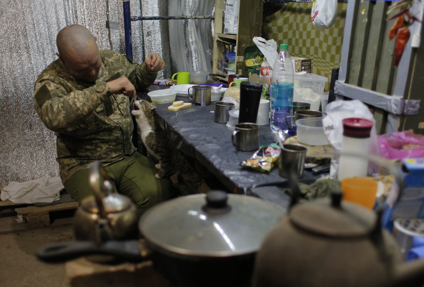 Ukraine's front line